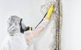 Best Water Damage & Mold Remediation  in Pascoag, RI